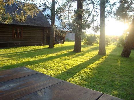 The yard